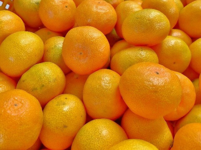 【ふるさと納税】先行予約 温州みかん 3kg/5Kg/10Kg 湯の花 早生 ミカン 果物 柑橘 フルーツ ブランド 甘い 静岡 南伊豆 季節限定 旬 道の駅 サムネイル2