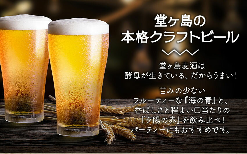 【ふるさと納税】 ビール 麦酒 地ビール 瓶 ご当地 堂ヶ島 飲み比べ クラフトビール 伊豆 西伊豆 地ビール「堂ヶ島麦酒」6本セット サムネイル2
