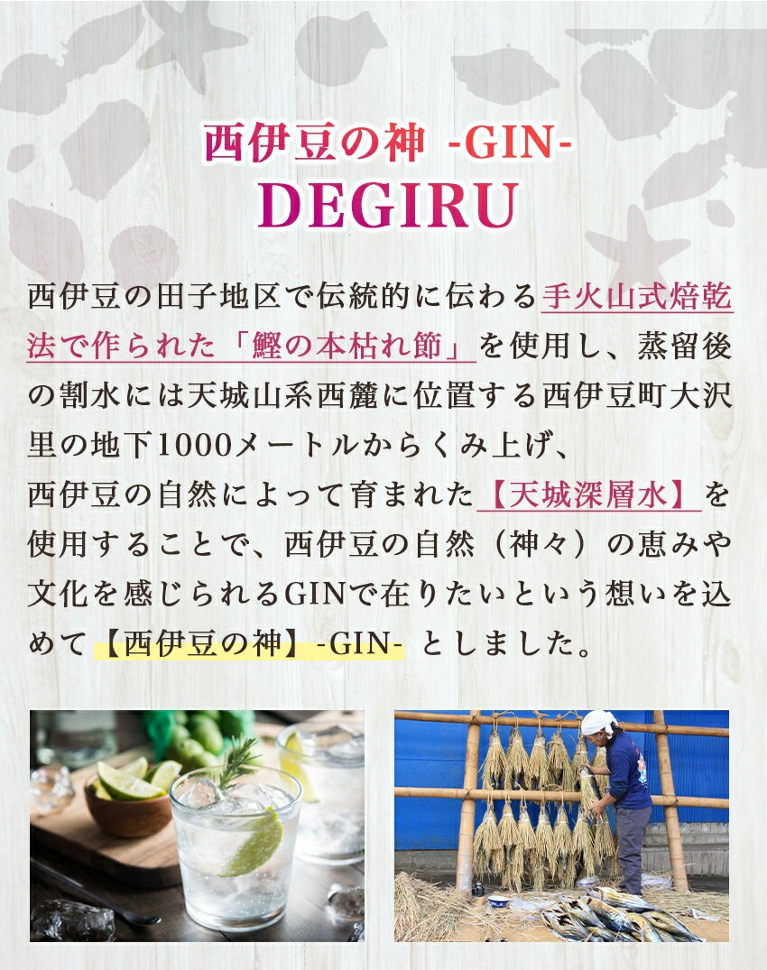 【ふるさと納税】西伊豆の神 -GIN- DEGIRU サムネイル2