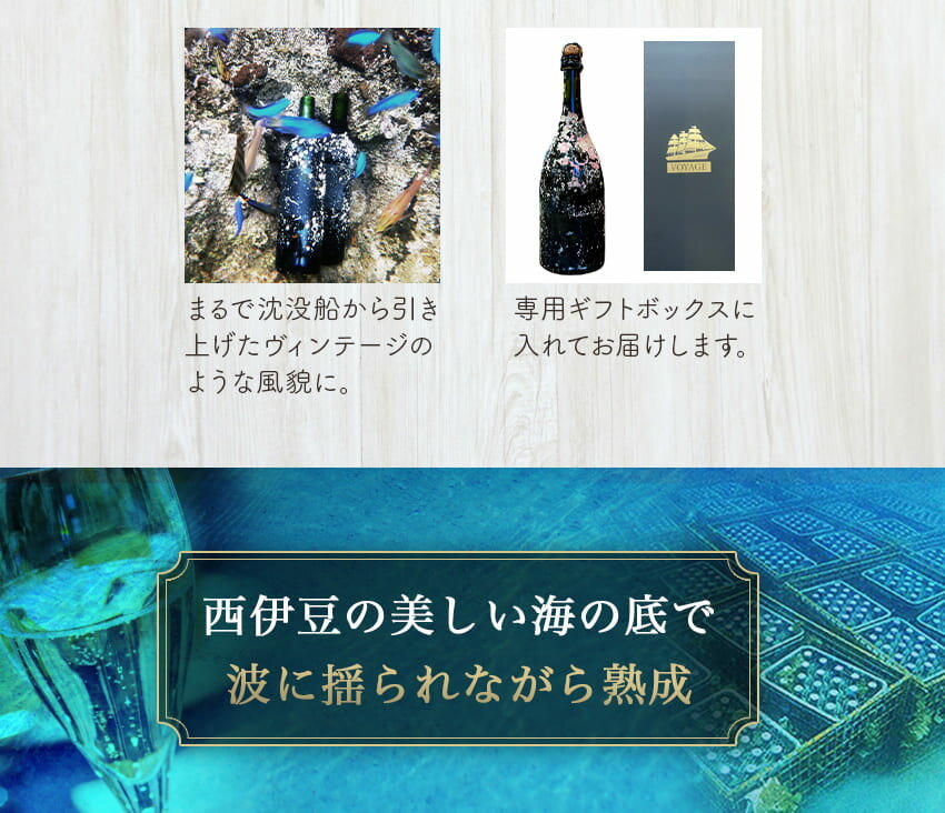 【ふるさと納税】海底熟成ワインVOYAGE【 シャンパン　白　 2010】 サムネイル3