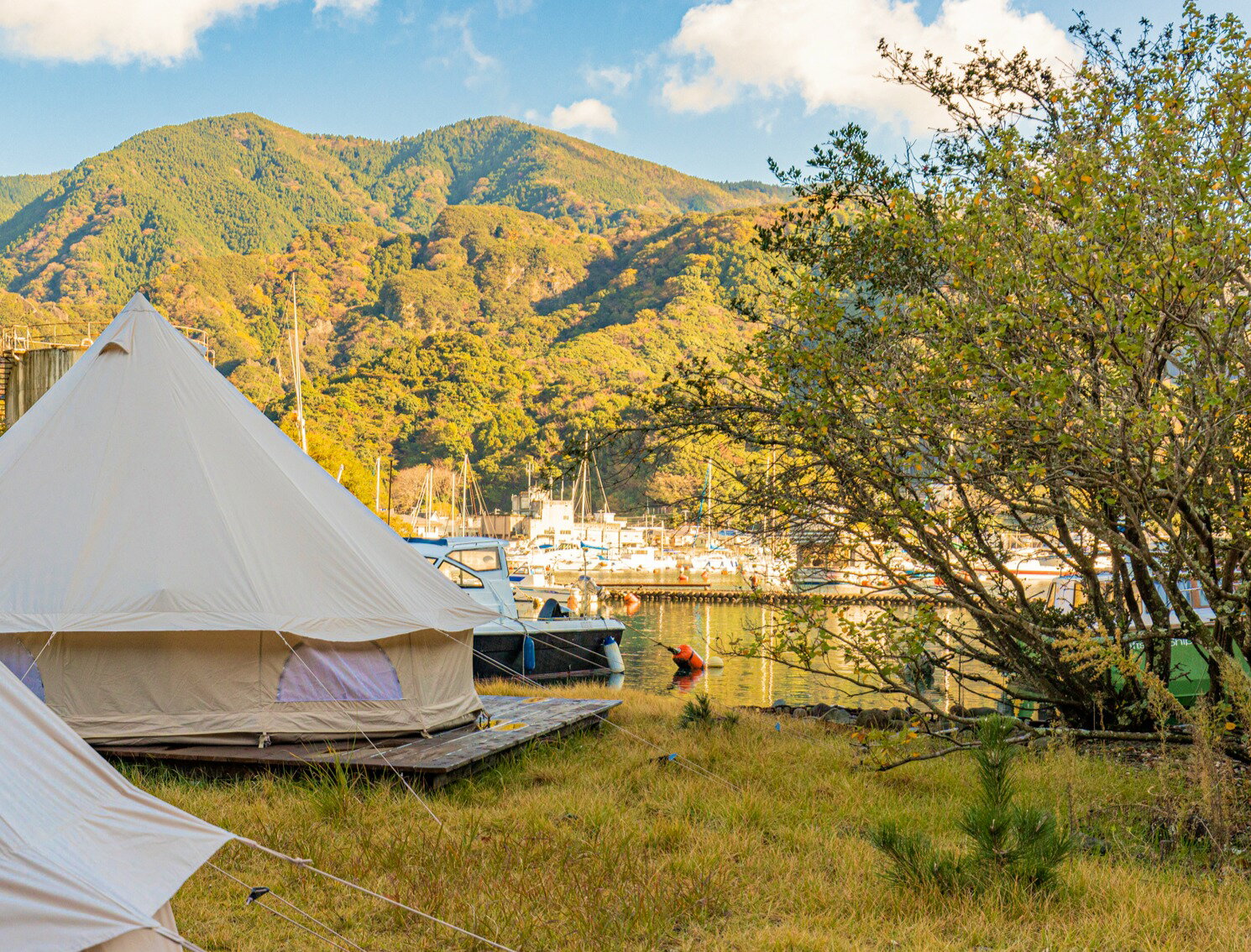 【ふるさと納税】 宿泊 グランピング 伊豆 旅行 観光 海 マリンスポーツ 西伊豆の海沿いSeaside Base ARARI グランピング 1泊宿泊券1名様（素泊まり） サムネイル3