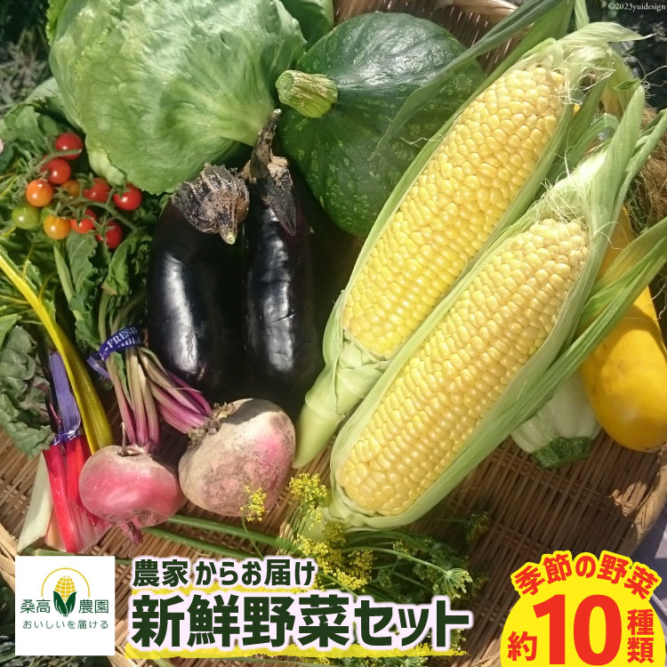 【期間限定発送】農家からお届け 新鮮野菜セット [桑高農園 静岡県 吉田町 22424127] 野菜 やさい 新鮮 旬 セット 10種類