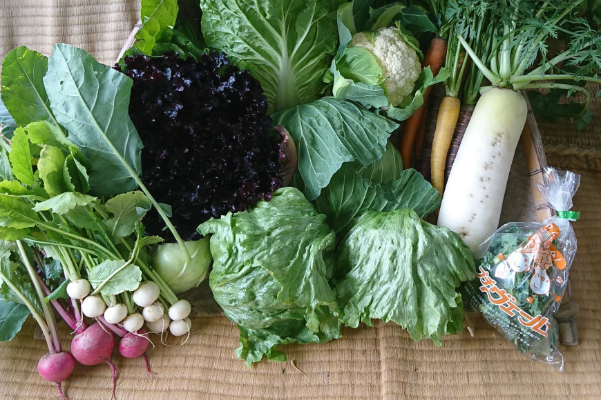 【ふるさと納税】 【期間限定発送】農家からお届け 新鮮野菜セット [桑高農園 静岡県 吉田町 22424127] 野菜 やさい 新鮮 旬 セット 10種類 - 画像3