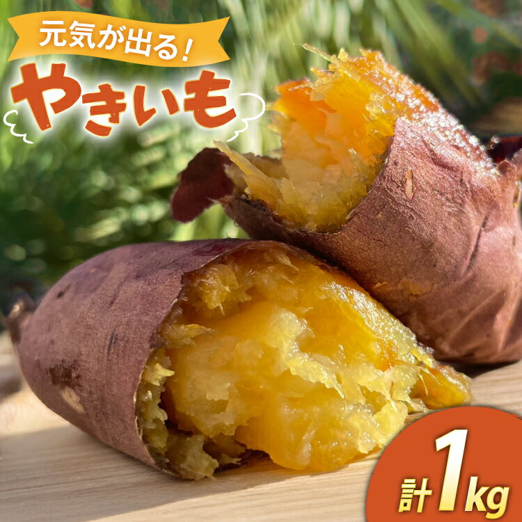 【期間限定発送】 焼き芋 「元気が出るやきいも（フローズン）」紅はるか 1kg 冷凍 [うみとやきいもラッキーズ 静岡県 吉田町 22424683] やきいも 焼きいも 焼芋 ヤキイモ 焼イモ おいも 芋 いも べにはるか さつま芋 さつまいも サツマイモ おやつ スイーツ