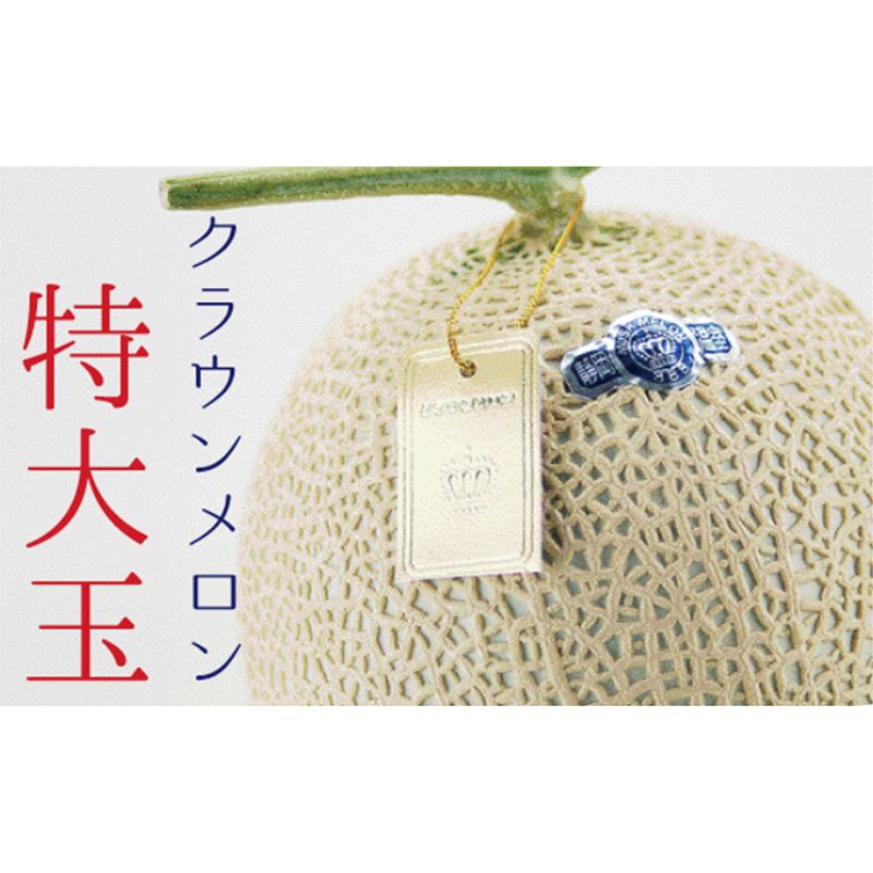 クラウンメロン 白等級 特大玉 1玉 果物類 メロン 青肉 マスクメロン フルーツ 果物 高級メロン 静岡 静岡県 森町　お届け：1～2週間(時期・収穫状況により1ヶ月以上かかる場合がございます) ◆返礼品到着後、すぐに状態をご確認ください◆