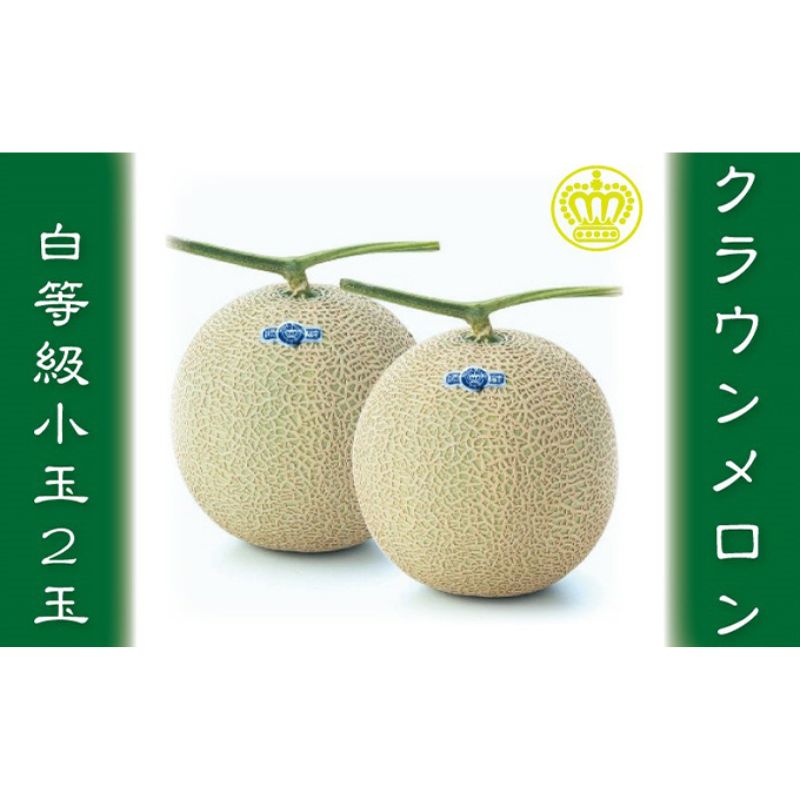 クラウンメロン 白等級 小玉 2玉詰 メロン 青肉 マスクメロン フルーツ 果物 青肉メロン 高級 高級メロン 静岡 森町　お届け：1～2週間(時期・収穫状況により1ヶ月以上かかる場合がございます) ◆返礼品到着後、すぐに状態をご確認ください◆