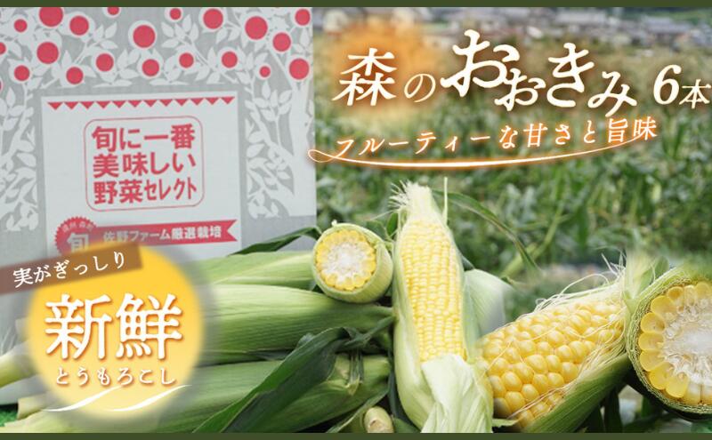 【ふるさと納税】2026年産 実がぎっしり大きい 新鮮 朝どれ とうもろこし 先行予約 森のおおきみ 6本 セット 詰め合わせ 野菜 JGAP認証 しずおか認証取得農場 先行 予約 2026 2026年 新鮮野菜 静岡 静岡県 森町　お届け：2026年6月15日～7月5日 - 画像2