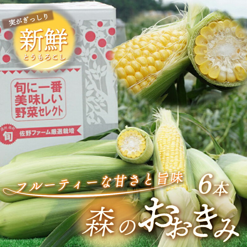 2026年産 実がぎっしり大きい 新鮮 朝どれ とうもろこし 先行予約 森のおおきみ 6本 セット 詰め合わせ 野菜 JGAP認証 しずおか認証取得農場 先行 予約 2026 2026年 新鮮野菜 静岡 静岡県 森町　お届け：2026年6月15日～7月5日