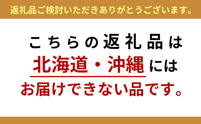 【ふるさと納税】遠州森鈴木農園の治郎柿（10～14玉） 果物類 フルーツ 静岡県産 遠州森鈴木農園株式会社 　お届け：2025年11月初旬～12月初旬 サムネイル3
