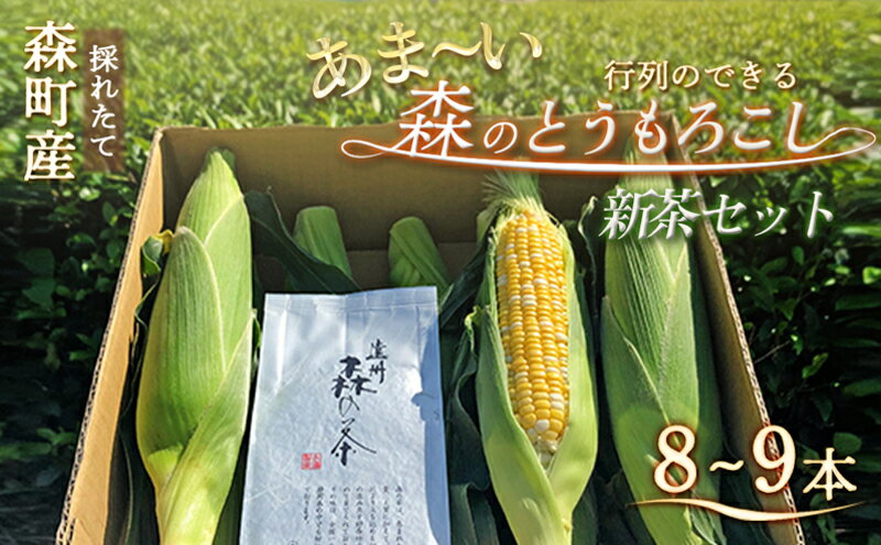 【ふるさと納税】【2026年産】先行予約 とうもろこし 新茶 セット 詰め合わせ しんちゃん農園 甘い 森のとうもろこし 8～9本 緑茶 1パックトウモロコシ 茶 日本茶 茶葉 静岡茶 煎茶 お茶っぱ 先行 予約 2026 2026年 静岡 森町　お届け：2026年6月上旬から順次発送 - 画像2