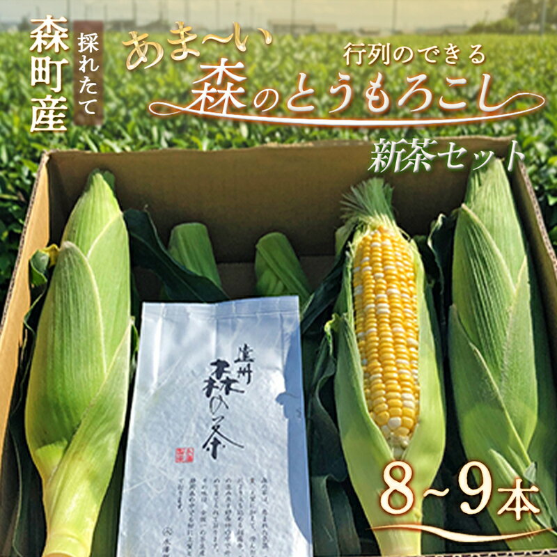 【2026年産】先行予約 とうもろこし 新茶 セット 詰め合わせ しんちゃん農園 甘い 森のとうもろこし 8～9本 緑茶 1パックトウモロコシ 茶 日本茶 茶葉 静岡茶 煎茶 お茶っぱ 先行 予約 2026 2026年 静岡 森町　お届け：2026年6月上旬から順次発送