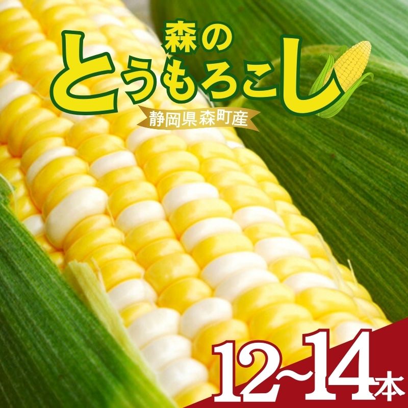 【テレビで紹介されました！】とうもろこし 先行予約 森のとうもろこし 12～14本 甘い 野菜 夏野菜 旬 夏 高糖度 産地直送 旬の野菜 季節の野菜 おやつ 行列のできる コーン 先行 予約 2026年 静岡 森町 冷蔵 冷蔵配送　お届け：2026年6月中旬～8月下旬