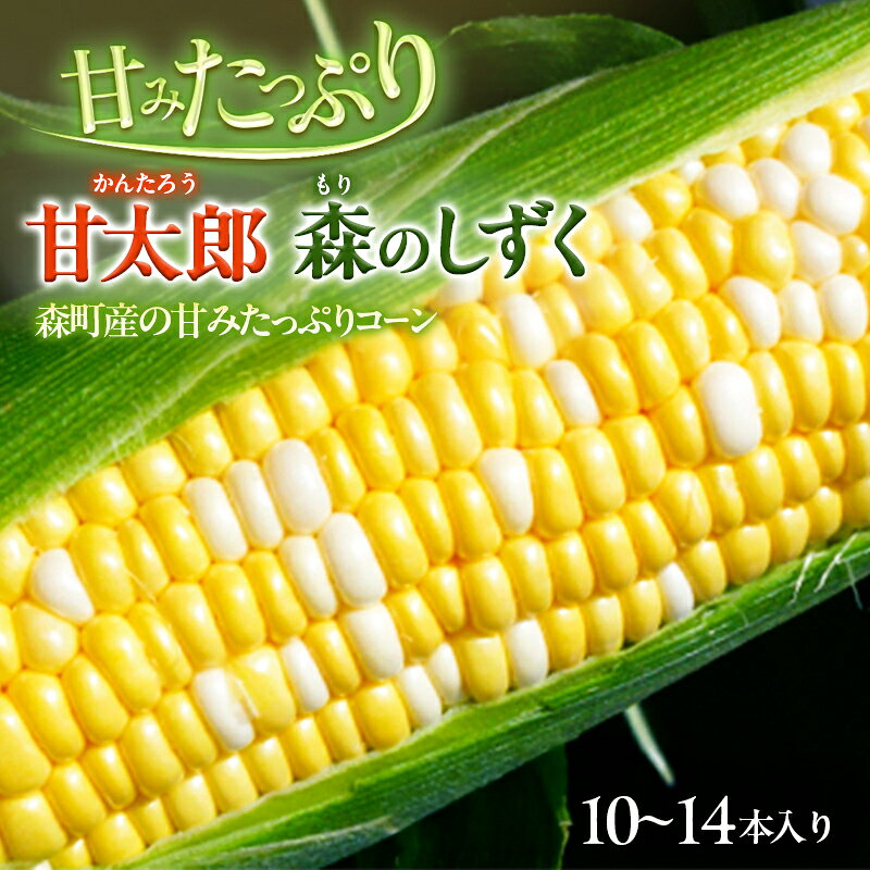 コーン 先行予約 とうもろこし 10～14本入り 産地直送 野菜 夏野菜 おやつ 夏 2026年　お届け：2026年6月初旬～7月中旬