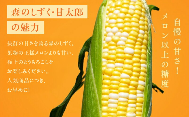 【ふるさと納税】コーン 先行予約 とうもろこし 10～14本入り 産地直送 野菜 夏野菜 おやつ 夏 2026年　お届け：2026年6月初旬～7月中旬 - 画像3