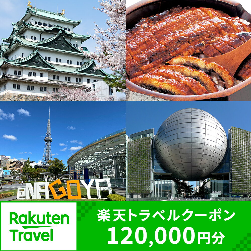 愛知県名古屋市の対象施設で使える楽天トラベルクーポン 寄付額400,000円