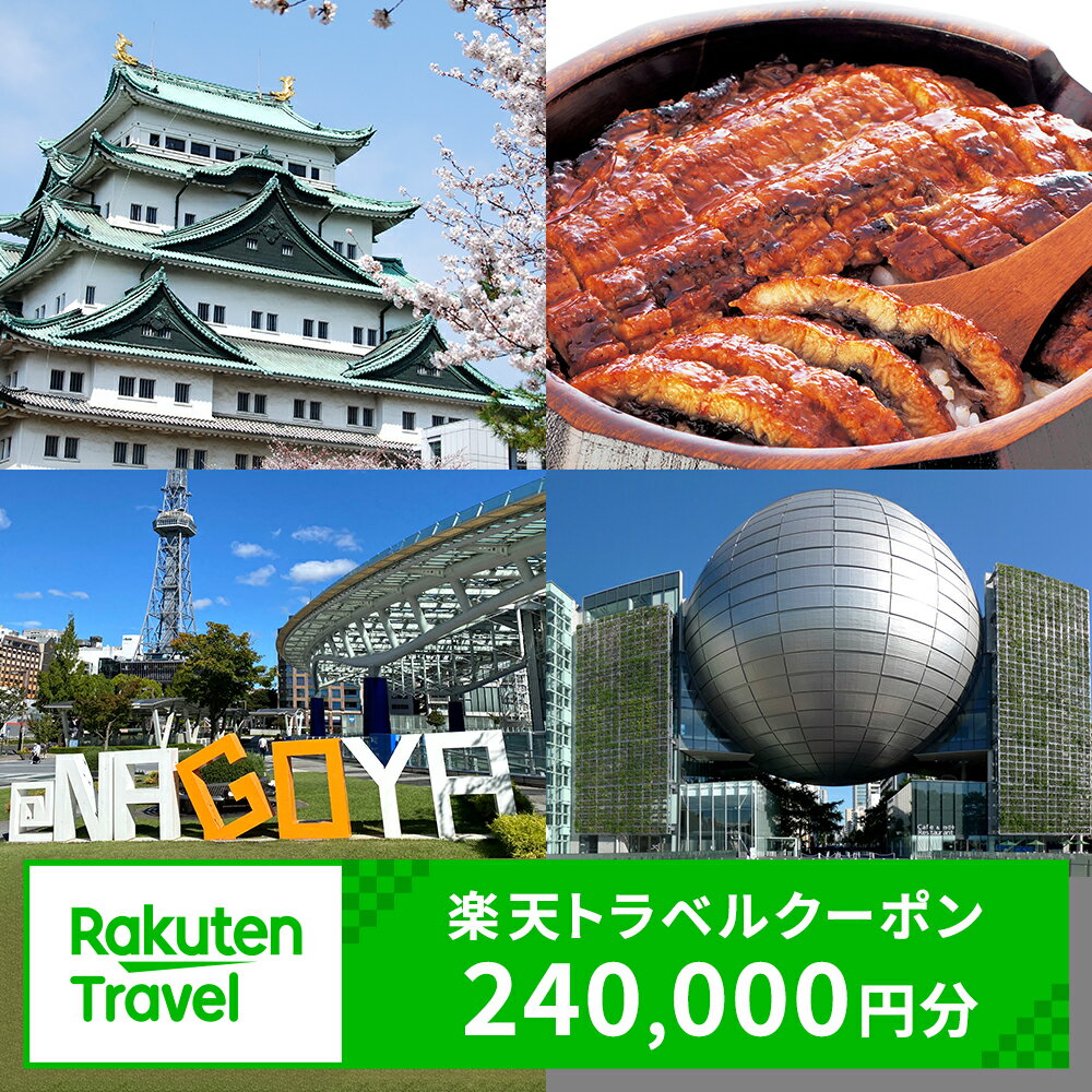 愛知県名古屋市の対象施設で使える楽天トラベルクーポン 寄付額800,000円