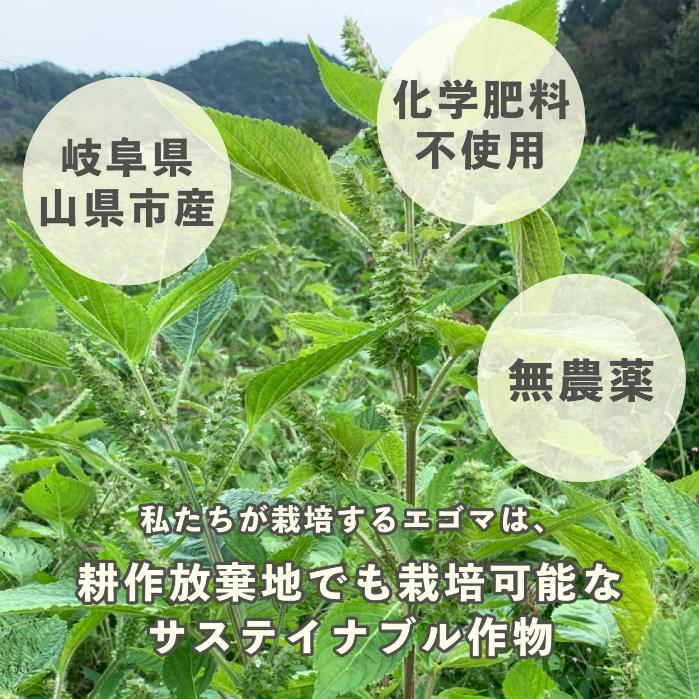 【ふるさと納税】タネから開発した国産エゴマ油47g×4本　毎日のオメガ3脂肪酸摂取に サムネイル3