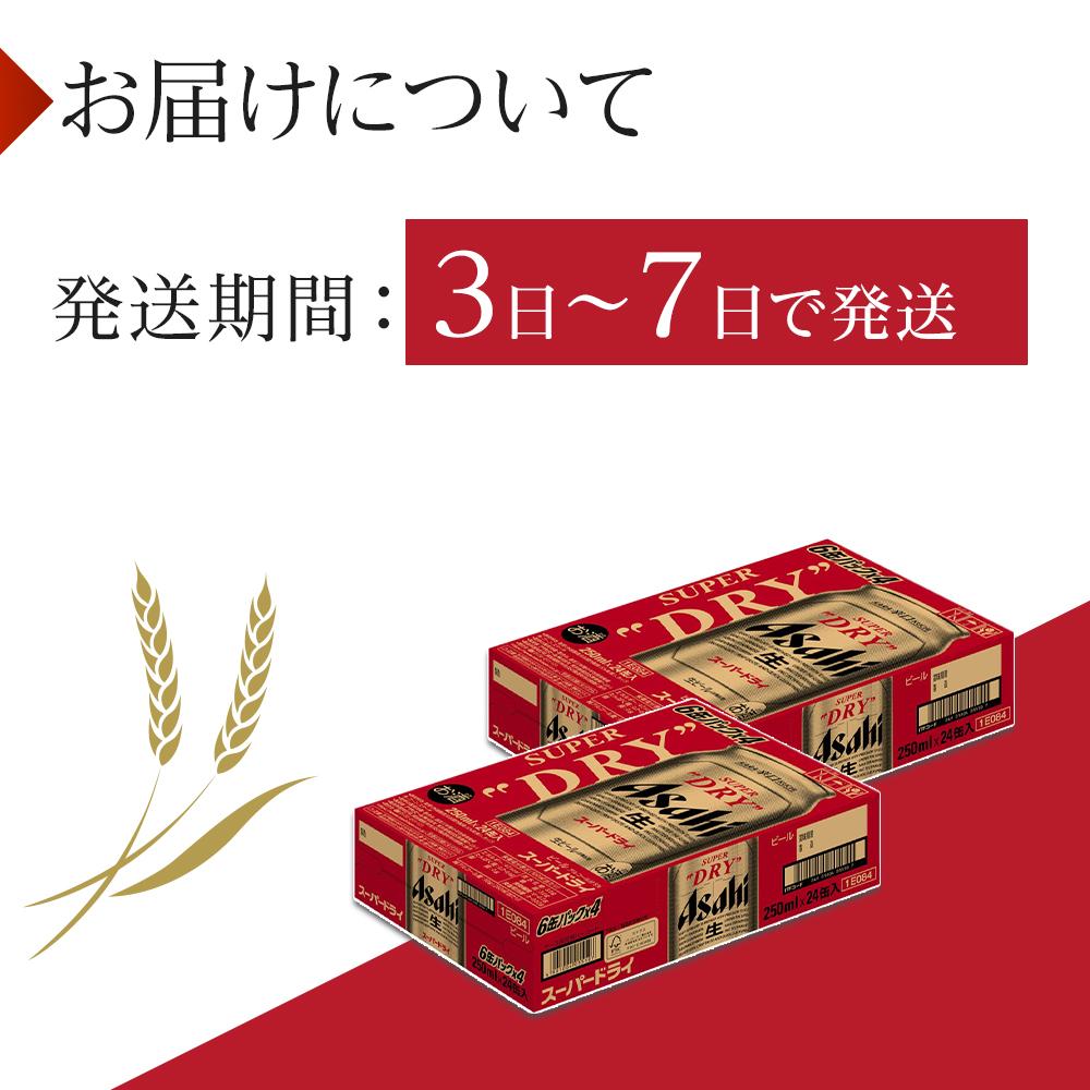 【ふるさと納税】ビール アサヒ スーパードライ 250ml 24本 2ケース 　 | ふるさと ビール アサヒビール 缶ビール 250 24缶 ケース アサヒスーパードライ ふるさと納税 ビール酒 愛知 名古屋 おすすめ 送料無料 ふるさと納税ビール サムネイル3