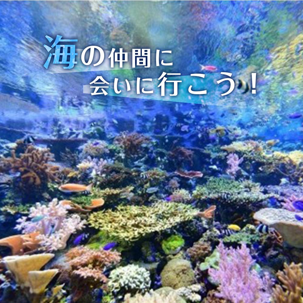 【ふるさと納税】名古屋港水族館（年間パスポート引換券） | 愛知県 名古屋市 愛知 名古屋 楽天ふるさと 納税 支援品 返礼品 支援 返礼 お礼の品 チケット 券 利用券 水族館 ワンストップ ワンストップ特例 年間 旅行 トラベル 観光 ワンストップ特例制度 年間パスポート サムネイル3