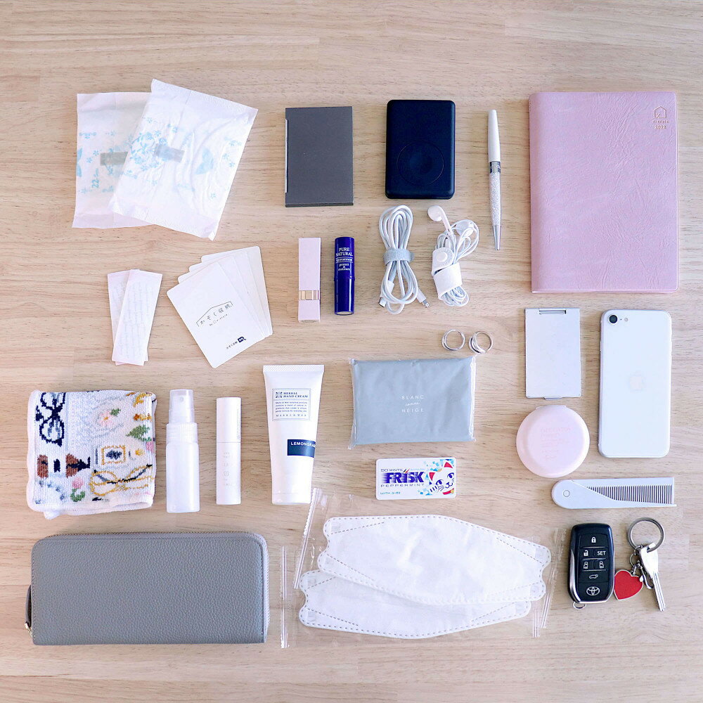 【ふるさと納税】Y-Style 収納力がすごい！バッグインバッグ Mサイズ サムネイル3