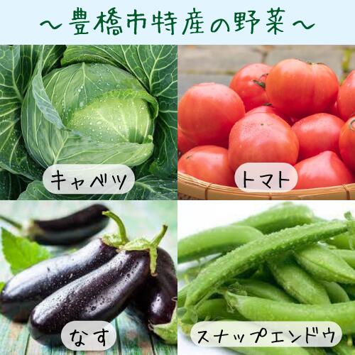 【ふるさと納税】野菜ソムリエ 厳選 野菜 果物セット 8〜12品 6回 定期便 野菜セット 野菜 フルーツ おまかせ お楽しみ 半年 定期 旬 季節限定 数量限定 - 画像2