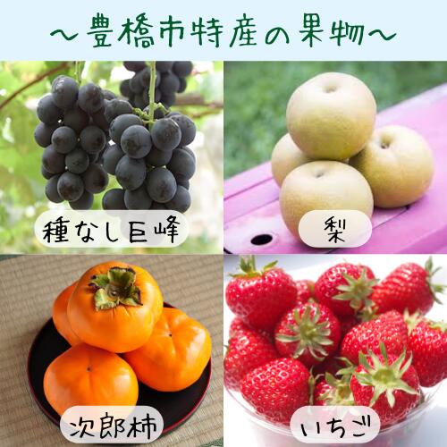 【ふるさと納税】野菜ソムリエ 厳選 野菜 果物セット 8〜12品 6回 定期便 野菜セット 野菜 フルーツ おまかせ お楽しみ 半年 定期 旬 季節限定 数量限定 - 画像3