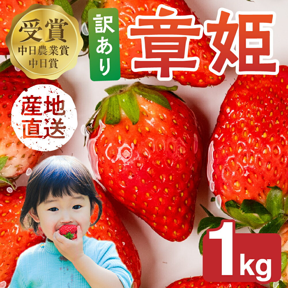 ≪先行予約！≫ 章姫 訳ありいちご 計1kg ( 約250g × 4 ) いちご イチゴ 苺 フルーツ 旬 果物 採れたて 10000円 1万円 ショートケーキ フルーツサンド にも スイーツ 産地直送 完熟 国産 冷蔵 愛知県 豊橋市 豊橋 わけあり 規格外