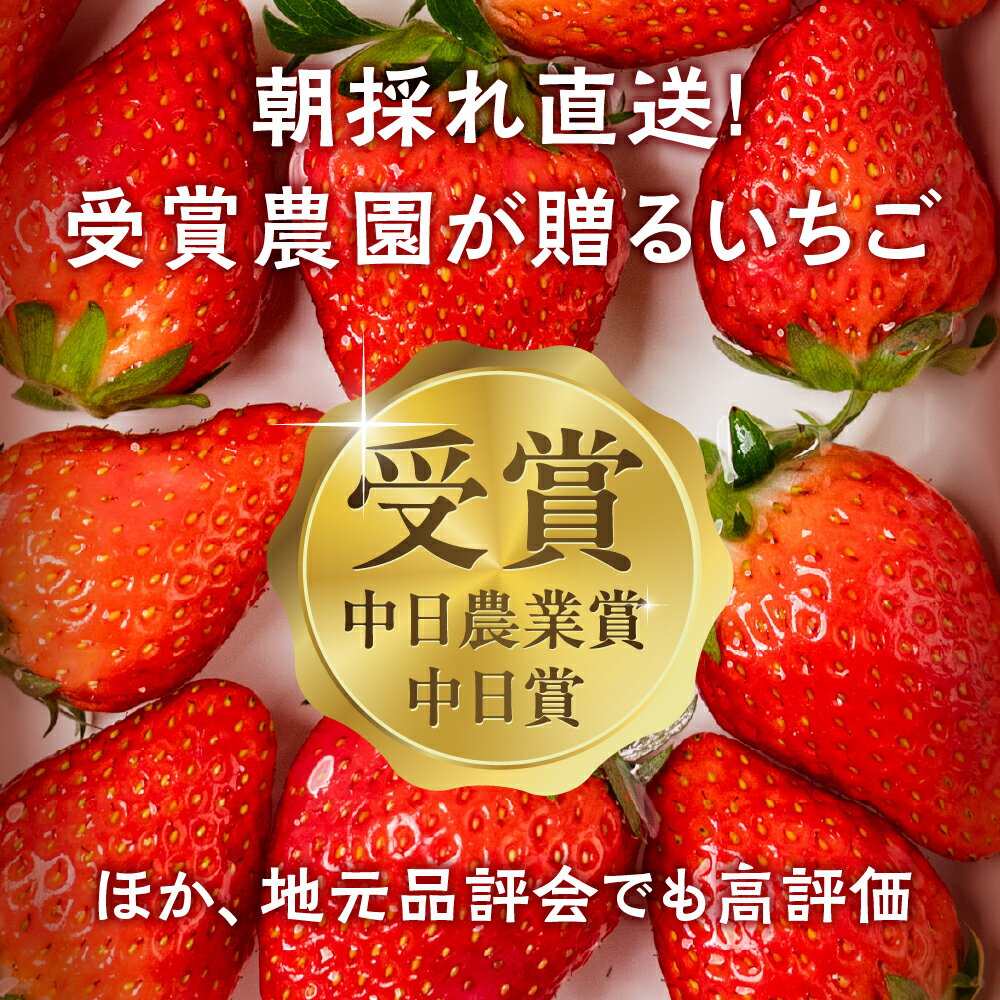 【ふるさと納税】≪先行予約！≫ 章姫 訳ありいちご 計1kg ( 約250g × 4 ) いちご イチゴ 苺 フルーツ 旬 果物 採れたて 10000円 1万円 ショートケーキ フルーツサンド にも スイーツ 産地直送 完熟 国産 冷蔵 愛知県 豊橋市 豊橋 わけあり 規格外 サムネイル2