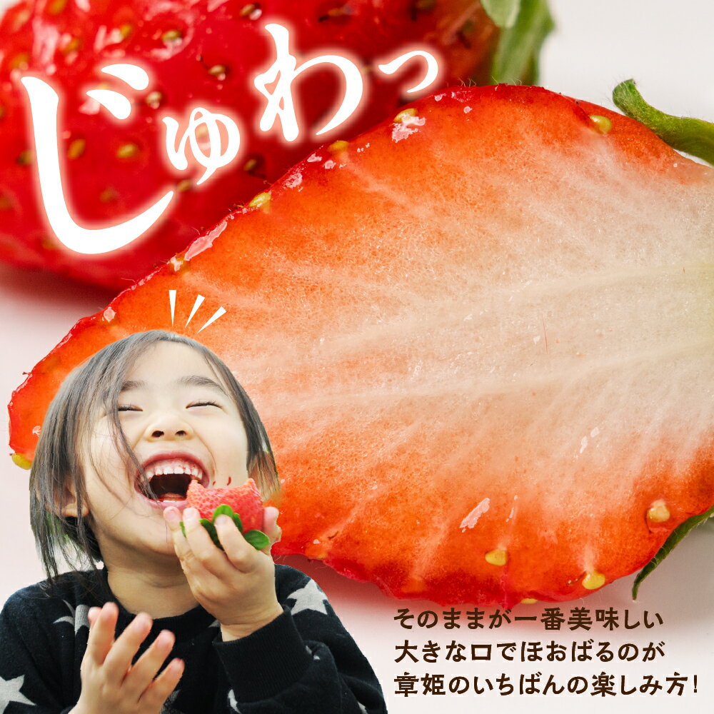 【ふるさと納税】≪先行予約！≫ 章姫 訳ありいちご 計1kg ( 約250g × 4 ) いちご イチゴ 苺 フルーツ 旬 果物 採れたて 10000円 1万円 ショートケーキ フルーツサンド にも スイーツ 産地直送 完熟 国産 冷蔵 愛知県 豊橋市 豊橋 わけあり 規格外 サムネイル3