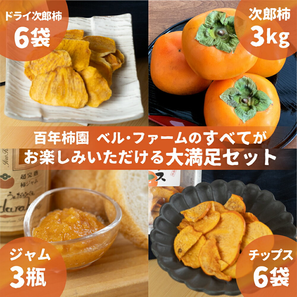 【ふるさと納税】《先行予約》皇室献上品 次郎柿 三昧セット 百年柿園 ベル・ファーム 柿 生産量 日本一 石巻産 かき 甘柿 果物 フルーツ ブランド 産地直送 生産者直送 農家直送 高糖度 愛知県 豊橋市 送料無料 39000円 サムネイル3