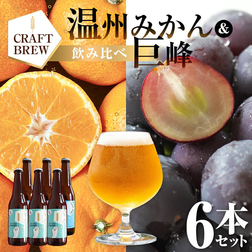 クラフトビール DAMONDE 2種6本 セット 巨峰 温州みかん ビール お酒 地ビール 地酒 クラフト 麦酒 豊橋市 送料無料