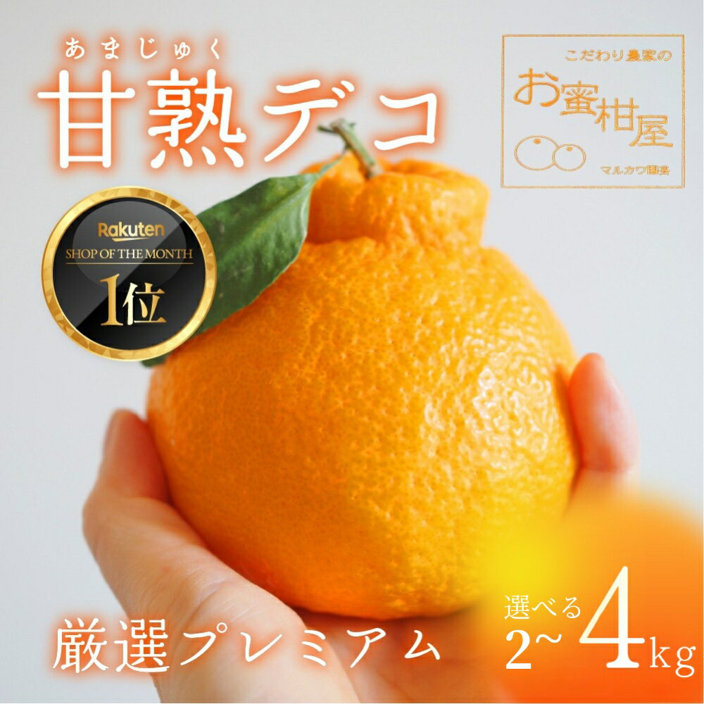 ≪先行予約≫ 完熟しらぬい『甘熟デコ』厳選プレミアム ≪選べる 2kg〜4kg≫ 2kg 3kg 4kg みかん 蜜柑 ミカン 柑橘 でこぽん デコポン 不知火 しらぬい 完熟 旬 フルーツ 果物 スイーツ 産地直送 高糖度 贈答 訳あり マルカワ園芸 愛知県 豊橋市