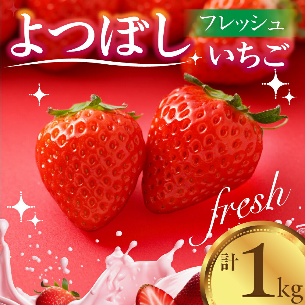 ＜先行予約＞いちご よつぼし 苺 1kg 新鮮 冷蔵 国産 甘い ヘルシー 健康 おやつ おいしい デザート ビタミンC ポリフェノール 抗酸化 豊橋市 小分け 簡易包装 訳あり