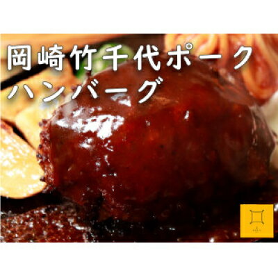 【ふるさと納税】【新ブランド豚使用】愛知県岡崎市から贈る、岡崎竹千代ポークのハンバーグと自家製白味噌ドレッシング【配送不可地域：離島】【1436198】 サムネイル2