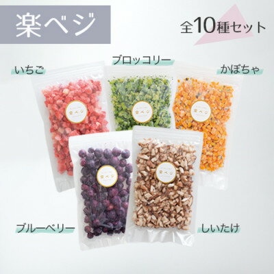冷凍フルーツと野菜を手軽に!ダイスフルーツと野菜の楽ベジ10種セット【配送不可地域：離島】【1644036】