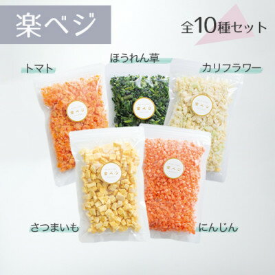 【ふるさと納税】冷凍フルーツと野菜を手軽に!ダイスフルーツと野菜の楽ベジ10種セット【配送不可地域：離島】【1644036】 サムネイル2
