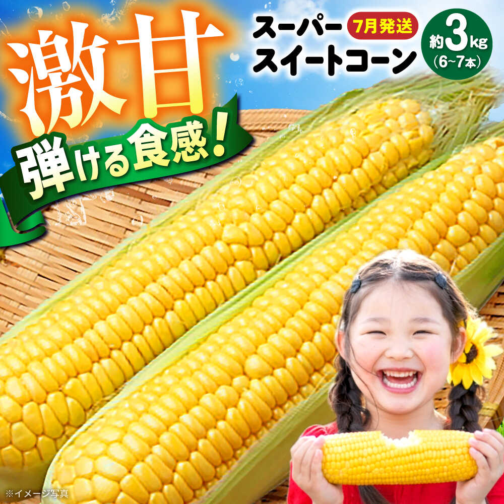 【7月上旬頃より発送】スーパースイートコーン 約3kg（6〜7本） / とうもろこし トウモロコシ コーン 新鮮 野菜 / 瀬戸市 / 株式会社フラットフィールド[BBEE005]