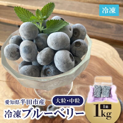 知多半島・半田市産　冷凍ブルーベリー(大粒・中粒)1Kg【配送不可地域：離島】【1412297】