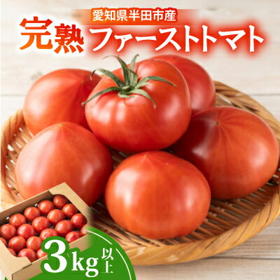 愛知県半田市産ファーストトマト　一箱3キロ以上【1456394】