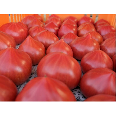 【ふるさと納税】愛知県半田市産ファーストトマト　一箱3キロ以上【1456394】 - 画像3