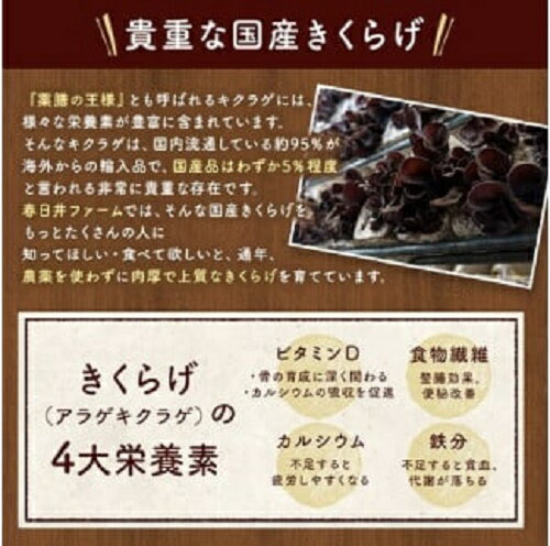 【ふるさと納税】春日井産　乾燥きくらげ2種セット10袋（ホール・スライス） - 画像3