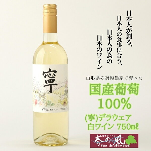 春日井ワイナリー 春の風 (寧) デラウェア 白ワイン 750ml | 白 ワイン 日本ワイン 国産ワイン ロゼ 国産 葡萄100%ワイン ぶどう100% デラウェア ライト 甘口 香り 春日井 ワイナリー ご当地 アルコール ギフト 贈り物 Japanese Wine 愛知県 春日井市