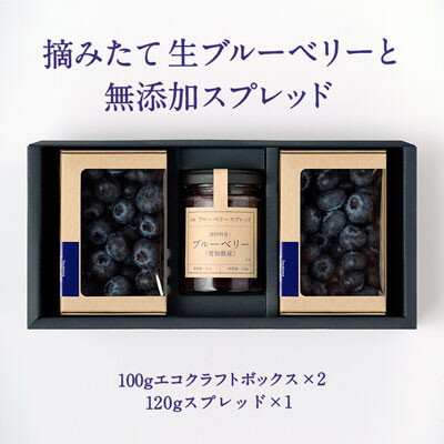 【ふるさと納税】【日本でここだけ!・愛知県産】生ブルーベリー×2パック ブルーベリースプレッド×1個【配送不可地域：離島】【1332571】 サムネイル2