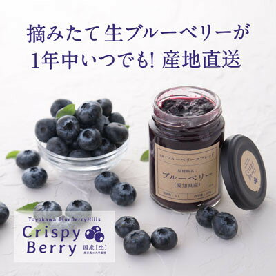【日本でここだけ!冬採れブルーベリー】　生ブルーベリー×1パック ブルーベリースプレッド×2個【配送不可地域：離島】【1334619】