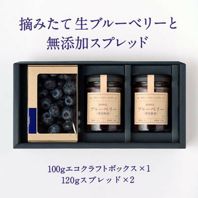 【ふるさと納税】【日本でここだけ!冬採れブルーベリー】　生ブルーベリー×1パック ブルーベリースプレッド×2個【配送不可地域：離島】【1334619】 サムネイル2