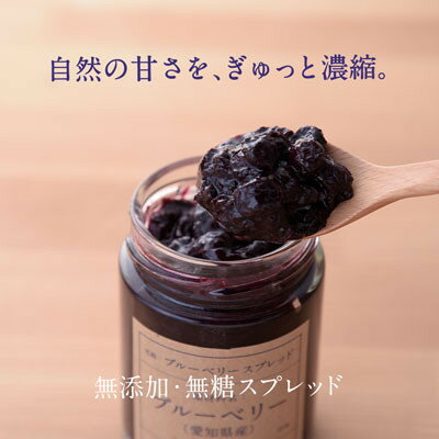 【ふるさと納税】【日本でここだけ!冬採れブルーベリー】　生ブルーベリー×1パック ブルーベリースプレッド×2個【配送不可地域：離島】【1334619】 サムネイル3