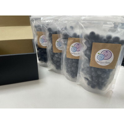 毎日の食卓にベリーを!完熟ブルーベリー冷凍パック詰め合わせ　250g×4個【配送不可地域：離島】【1602934】