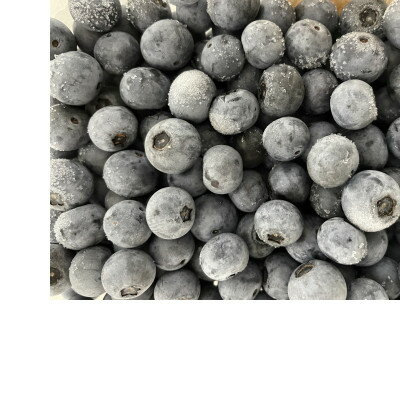 【ふるさと納税】毎日の食卓にベリーを!完熟ブルーベリー冷凍パック詰め合わせ　250g×4個【配送不可地域：離島】【1602934】 サムネイル3