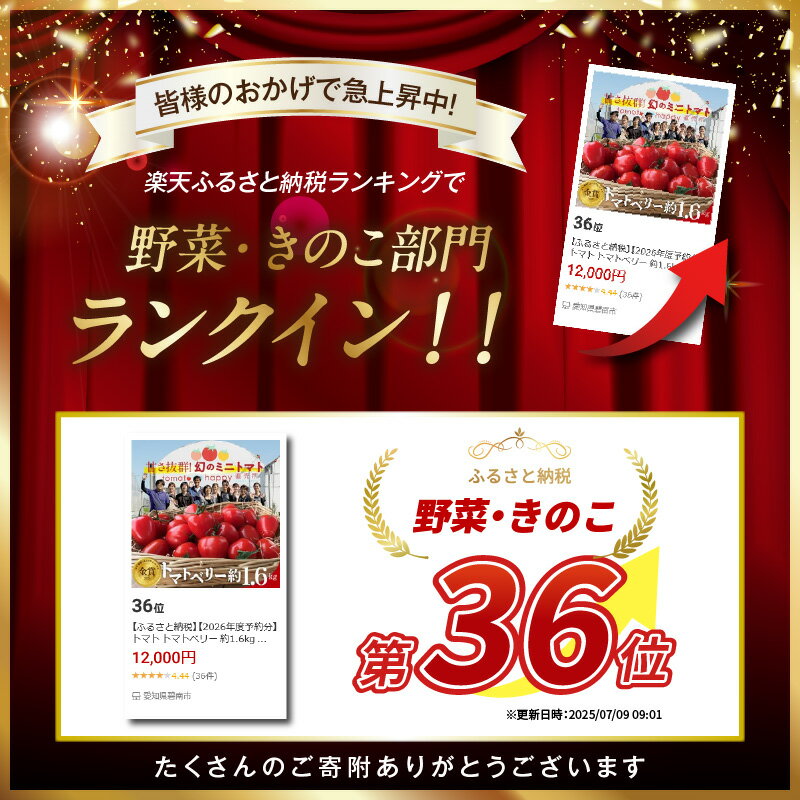 【ふるさと納税】【2026年度予約分】フルーツミニトマト 約1.6kg トマトベリー 甘さ抜群 国産 甘い 濃厚 幻 いちご型 野菜ソムリエサミット 金賞 受賞 皮が薄い 長田農園 産地直送 リコピン 野菜 フルーツ サラダ 濃厚 甘い 美容 健康 ランキング急上昇 送料無料 サムネイル2