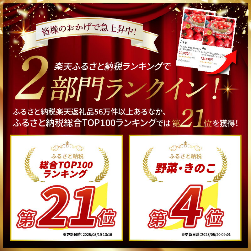 【ふるさと納税】【2026年発送】高評価☆4.67 衝撃の一粒 奇跡のさくらんぼ ミニトマト 250g × 4パック 約 1kg 希少 トマト プチぷよ 野菜ソムリエサミット 金賞 受賞 新感覚 薄皮 甘い 濃厚 新鮮 こだわり 完熟 木熟 リコピン 長田農園 食べ物 野菜 碧南市 送料無料 - 画像3
